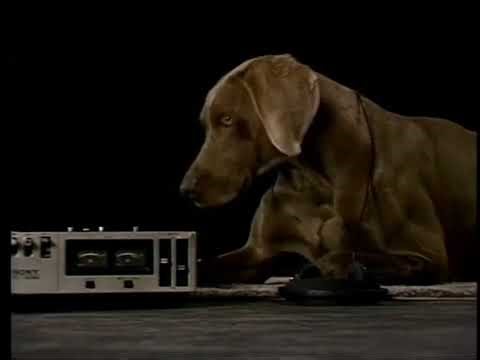 Sesame Street Show 2614: Fay Ray listens to Music (1989)