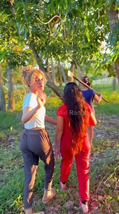 Remedio natural para limpiar la matriz, los ovarios, y también funciona para la inflamación. | Somos del Rancho