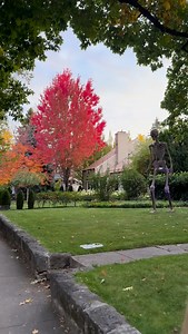 1.7K views · 1.4K reactions | Bucket list fall activity in Boise, Idaho is to walk along Harrison Boulevard and check out all of the Halloween decorations!  These families and home owners go all out and it’s with a visit! I took my daughter around 6:30pm before the sunset and there so so many families with all ages walking along the street. We just loved the community feel! Follow me for more local Boise, Idaho activities and fun! | Thrive In Idaho | Facebook