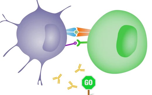 【中英字幕】肿瘤免疫疗法之免疫检查点抑制剂