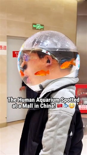 The Human Aquarium Spotted at a Mall in China! 🐠🇨🇳🛍️ #shorts