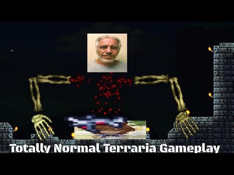 Totally Normal Terraria Gameplay