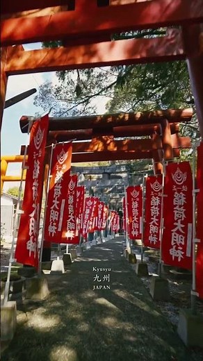Kyushu Japan | Hidden Wonders Beyond the Tourist Trail 🌿🇯🇵