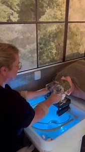 16 reactions | JAPANESE HEAD SPA - I samtliga behandlingar används...