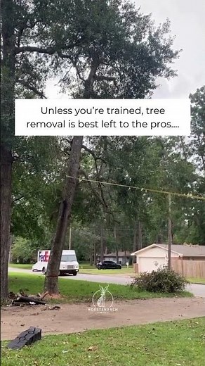 🌳 Tree removal gone very wrong.