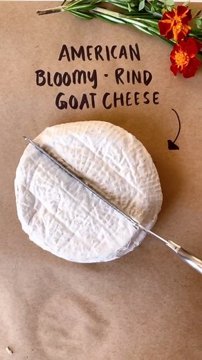 The Art of Cutting Soft Cheese