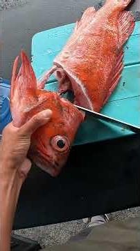 Fish Head Soup Catch and Cook!