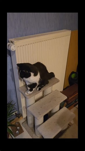 71 reactions · 6 comments | Excuse me? Wrecking Ball?? Are you...