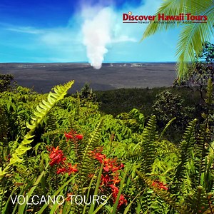 1.2K views · 174 reactions | Walk through the volcanic landscapes of the Big Island should not be missed. #Hawaii #Paradise | Discover Hawaii Tours | Facebook