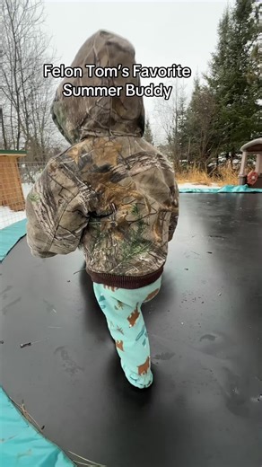 Little human and Felon Tom sharing pure happiness on the trampoline. While we’re bouncing around, I’m teaching him it’s not really called a nose… it’s called a snood. Looks like these two best buds are going to have a pretty fun summer together.#turkeys #turkeytiktok #turkeytok #felontom #farmlife