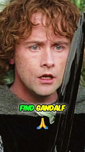 Pippin's Epic Transformation: From Fool to Heroic Soldier! #shorts