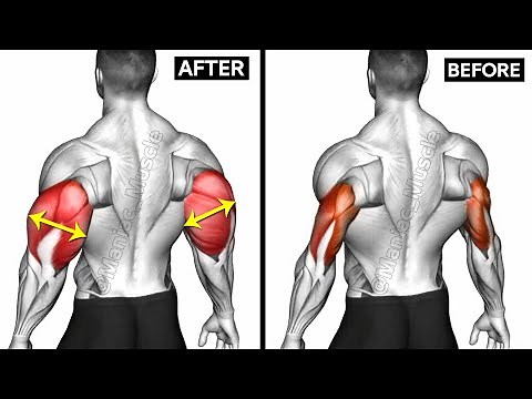 BEST Triceps Exercises For Every Head (Effective exercises)