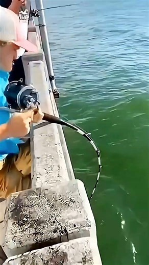 মা তার সন্তানদের জন্ম দিতে গিয়ে নিজের জীবনটাই দিয়ে দিল #facts