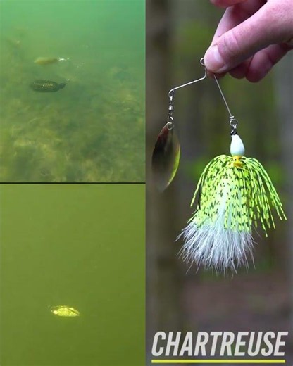 NCB Hybrid Spinnerbait