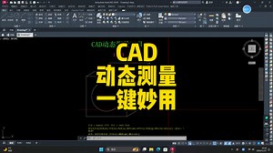 大神教你cad中的动态测量工具！真的太方便了，一秒实现所有测量数据