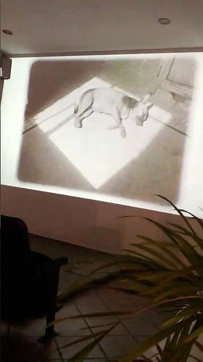 SEAIFF - Extract from Cambodian film #art #film #phnompenh