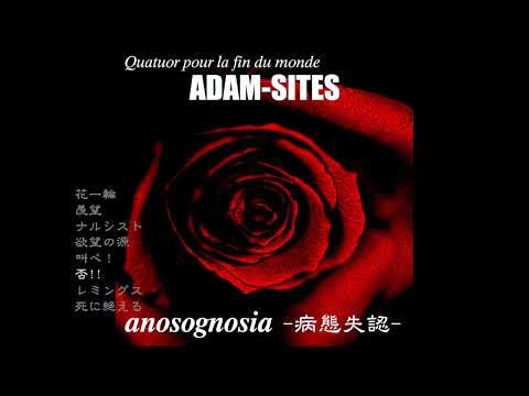 ADAM-SITES New Album "anosognosia" digest (30sec X-fade)