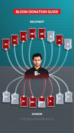 Aryan Chaudhary on Instagram: "Blood Donation Guide We created this animation to clearly show how blood type compatibility works. The chart highlights who can donate to whom and who can safely receive blood. {blood donation chart, universal donor, universal recipient, life saving information, blood compatibility explained} #bloodgroup #blooddonation #reels"