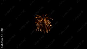 Illuminate your celebrations with Fireworks Motion Graphics, a spectacular motion graphics pack featuring 30 animated, colorful pyrotechnic displays. Full HD resolution and alpha channel Stock Video