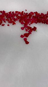 👀🌹 | Centre Bell