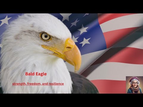 Bald Eagle: The Unbreakable Symbol of Strength