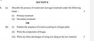 (a) Describe the process of wastewater (sewage) treatment under... | Filo