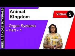 Animal Kingdom | NEET | Organ Systems - Part - 1 | Neela Bakore Tutorials
