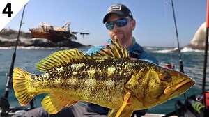 Why this rocky Mexican island feels like a calico bass war zone