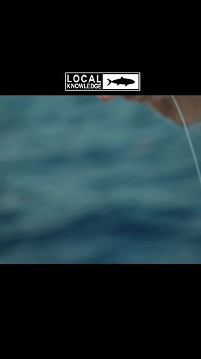 347K views · 4.5K reactions | “Do you think this thing has bounced off the bottom a few times!” #deepdropfishing #keywestfishing #bottomfish #fishingweights #pennfishing #offshorefishing #fishingtime #fishingdaily | Local Knowledge | Facebook