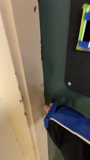 Wellesley College Triple Room Tour with Nora, Scout & Rebecca