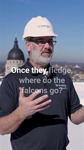 Fledging: The most nerve-wracking moment