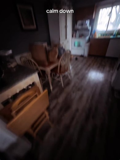 make sure u have room to speak before u open ur ball licker