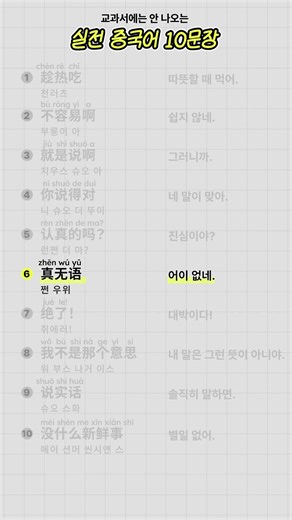 중국인처럼 보이는 10문장