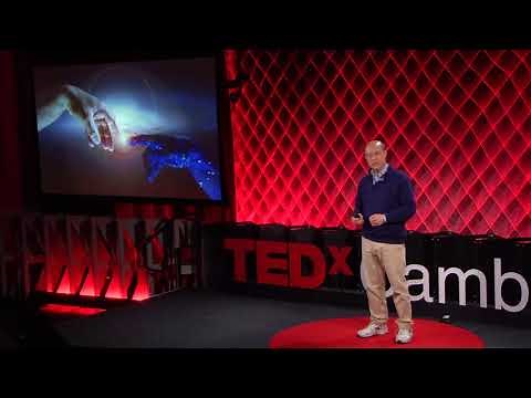 Hacking Humanity | Andrew Lo | TEDxCambridgeSalon