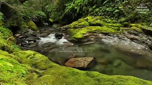 409K views · 10K reactions | Surat-Tahaa (Arabic"سورۃ طہ") Chap 20 Verses 1-54 #1) Ta, Ha #2) We have not sent down to you the Qur'an that you be distressed #3) But only as a reminder for those who fear [ Allah ] - #4) A revelation from He who created the earth and highest heavens, #5) The Most Merciful [who is] above the Throne established. | Quran Translation Short Clip | Facebook