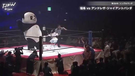 Hey @JANELABABY how much would I need to crowdfund to get him at Spring Break?