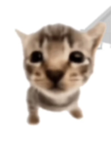 oh yeah get it Elgatito! #fyp #cat #elgatito #foryou #meme