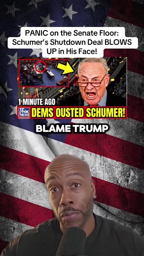 Part 1: PANIC on the Senate Floor: Schumer’s Shutdown Deal BLOWS UP in His Face! #usa🇺🇸 #political #newyork #pressonnails #politics