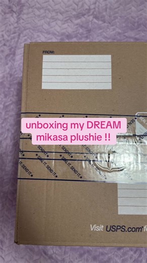 Unboxing My Dream Mikasa Plushie