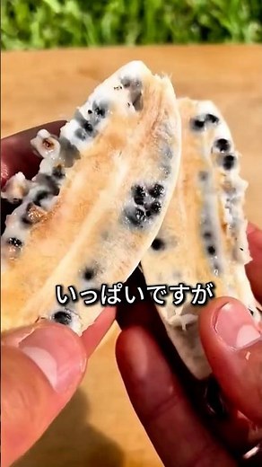 【バナナを植えても育たない理由】種がないから！専門家の栽培法が驚き