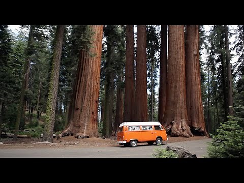 VW Camper Bus- restoration and roadtrip - Von Voyage