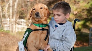 | Through a Dogs Eyes