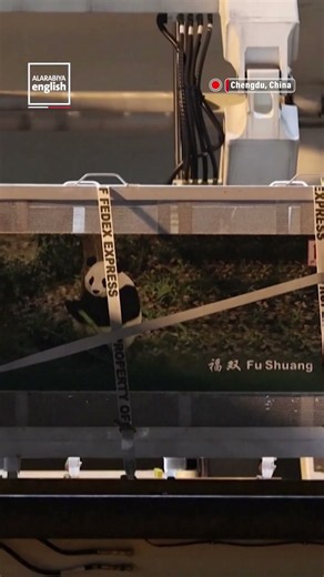 China Sends Giant Pandas to US for 10 Years