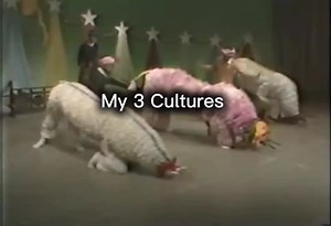 Exploring Cultural Collisions: Burmese and Chinese Influences