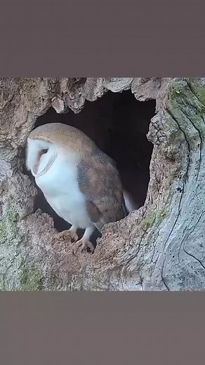 2.4K views · 46K reactions | ‎Do Like and Share, ‎ “Facts that make you say ‘Wow!’  ‎#informative #facts #knowledge #didyouknow #educationlearnsomethingnew #amazingfacts #awareness #factreel | interesting.information | Facebook