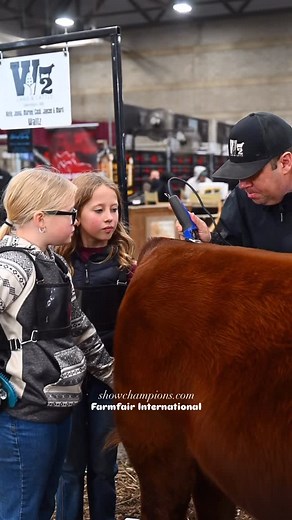 2.4K views · 357 reactions | We just can’t get enough! @farmfairinter was incredible  #farmfair #showchampions #stockshownation #cattleshow #kidsandcows #viral #videoreels #edmonton | showchampions.com | Facebook