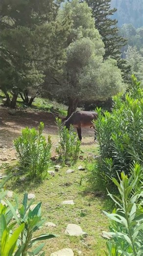 Crete beyond beaches!