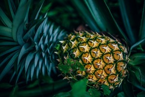 日本のスーパーが台湾パイナップルに「中国産」の表示、クレームの電話をかけると…―台湾メディア