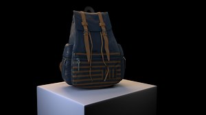 3D Model of Bag