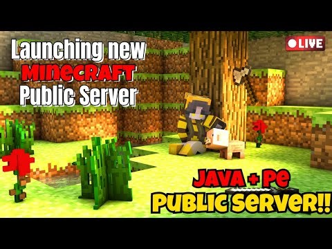 New 24/7 MINECRAFT PUBLIC SERVER || JAVA + PE | 🔴 Live